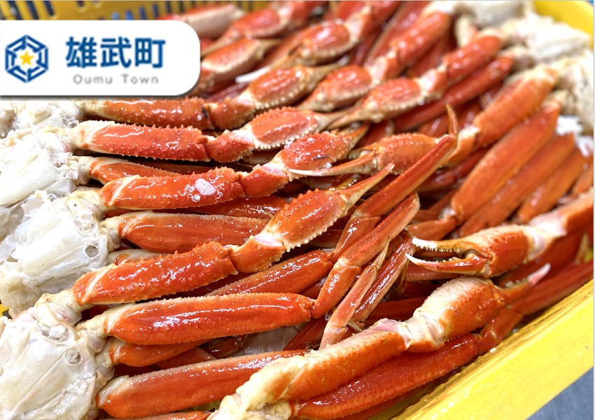 即日発送！トゲズワイガニ 1.5kg 蟹 - 魚介類(加工食品)