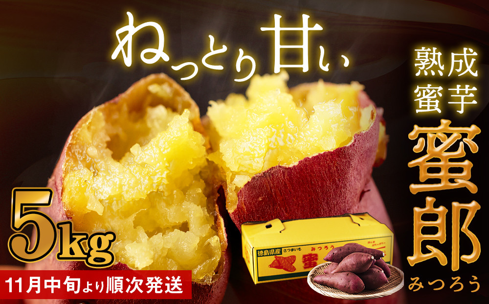 熊本県産　さつまいも『紅はるか』焼き芋サイズ　約10キロ　49