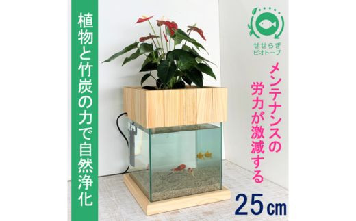 水槽セット 25cm せせらぎビオトープ アクアリウム 木枠台 金魚 植物 
