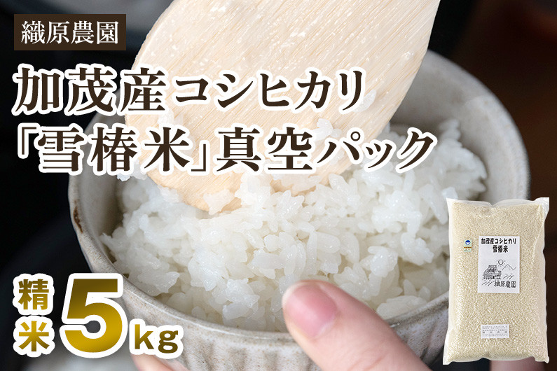 かも米、雪椿米、ミルキー米、玄米各5k - 米