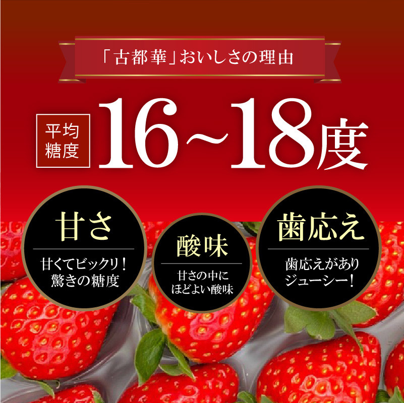 ふるさと納税 奈良県 大和高田市 奈良県産いちご 古都華 化粧箱入り2