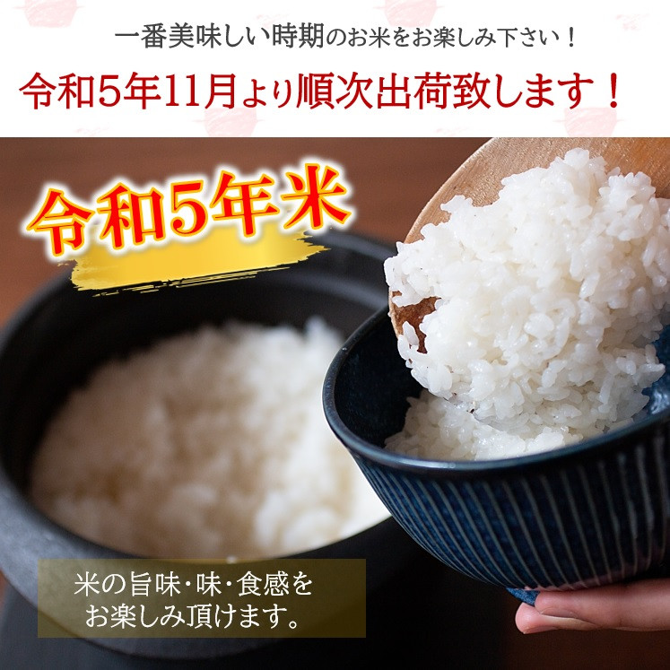 令和5年産 熊本県産 無洗米 新米 ほたるの灯り 15kg - 熊本県和水町