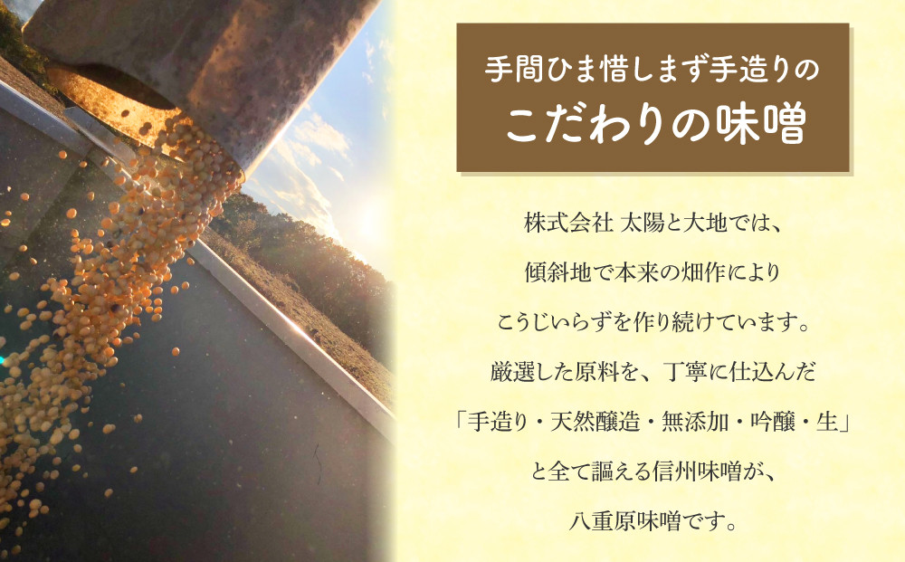 ふるさと納税 OKOMEIROM 米 非食用米 ライスレジン おもちゃ ダイヤブロック 子供用 熊本県水俣市 - 3