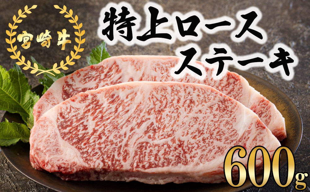 宮崎産黒毛和牛サーロイン250g×2枚(500g) リブスライス500gセット 産地