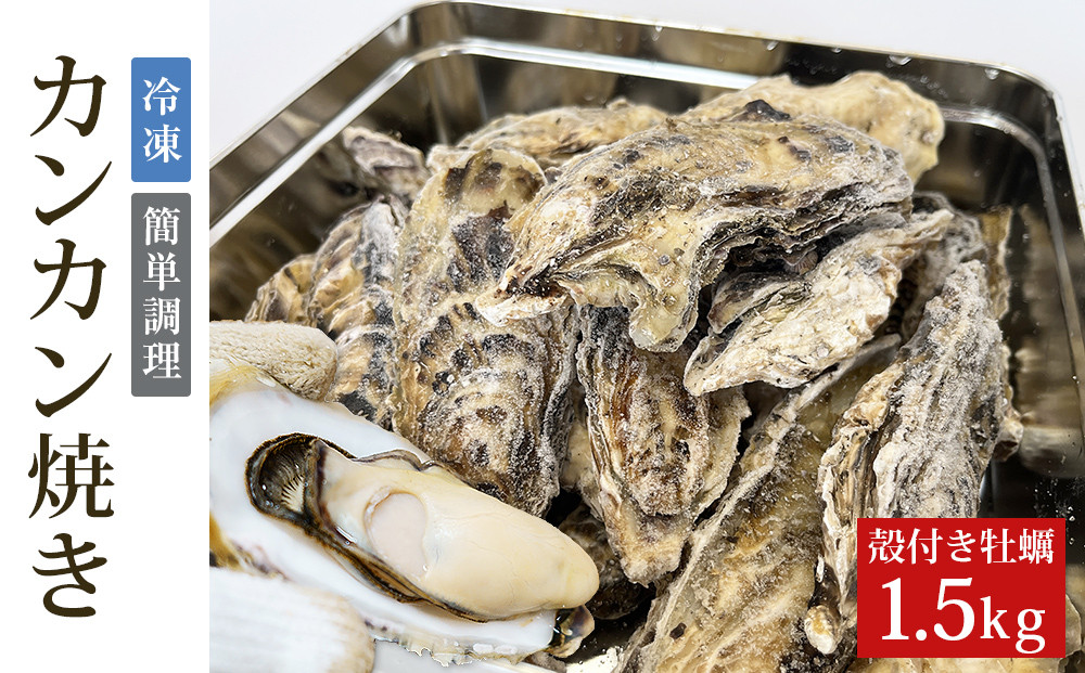 ふるさと納税 牡蠣 1.5kg ( 500g × 3 ) 国産 冷凍 牡蠣 急速凍結
