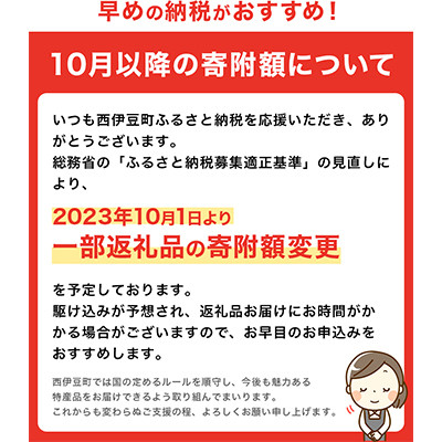 中古 格安買取 みゆきさん専用！西伊豆町 ふるさと 納税感謝券 平成31