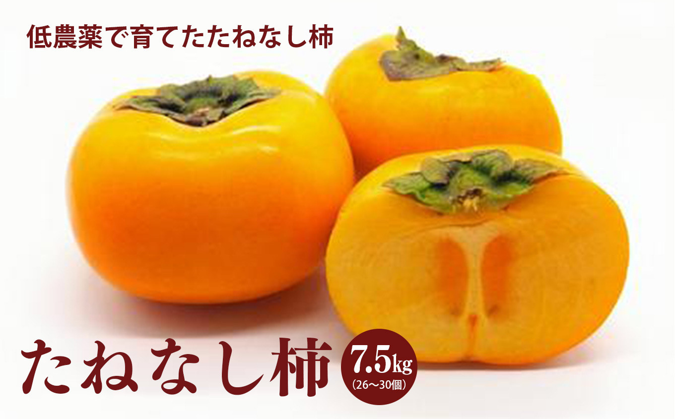 たねなし柿  5個入り  2パック  和歌山県産 柿
