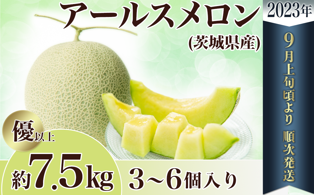 12-3茨城県産アールスメロン約7.5kg（3～6個）【2023年9月上旬～10月下旬ごろ発送予定】 茨城県下妻市｜ふるさとチョイス  ふるさと納税サイト