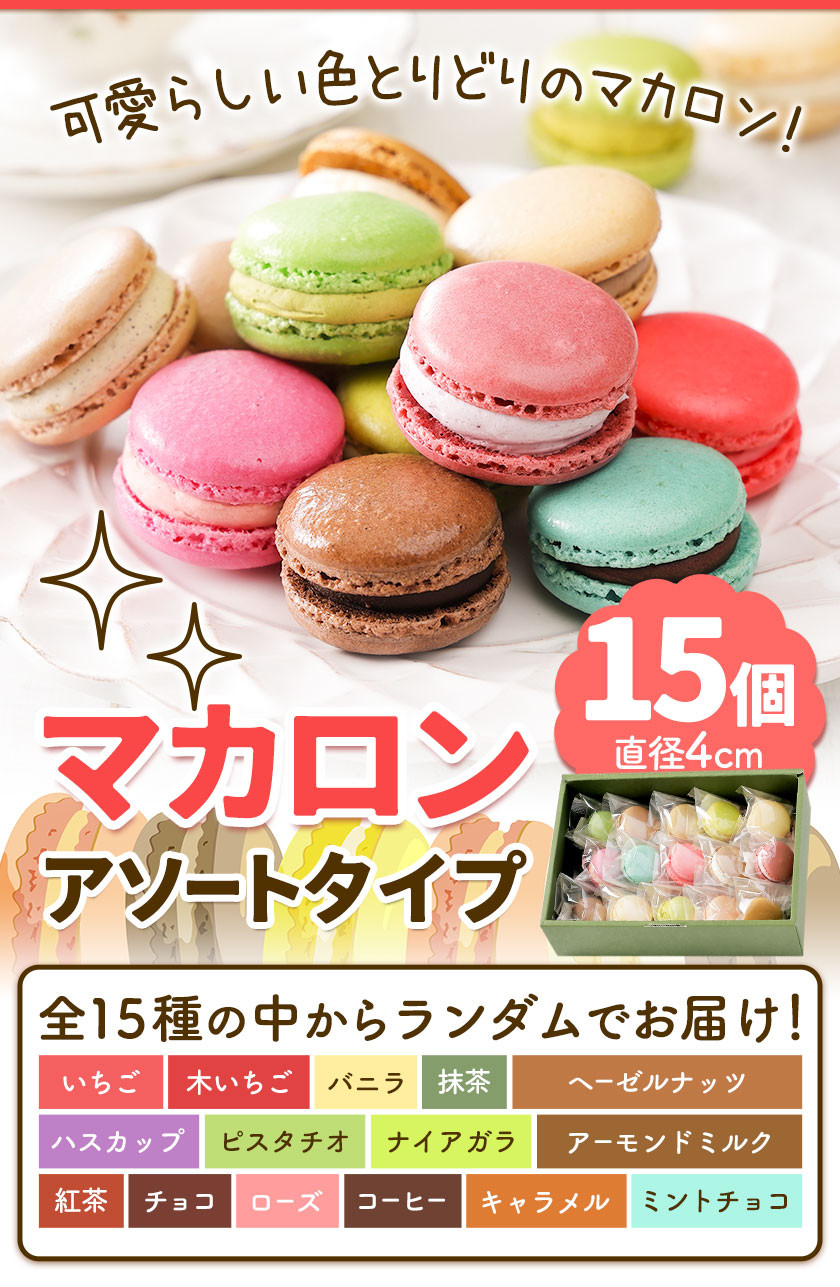 マカロン アソートタイプ 15個入り 欧風ケーキ工房 かねもり 《45日