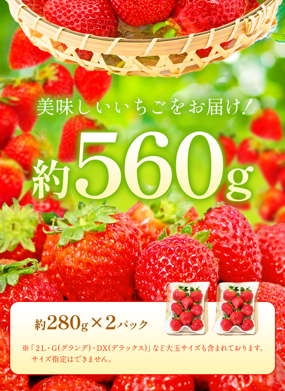 【2023年12月上旬より順次発送】【アフター対応】あまおう 約280g×2パック 苺 イチゴ いちご 果物 フルーツ