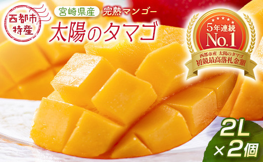最高級ブランド『太陽のタマゴ』2L×2個【糖度15度以上】宮崎県西都市産