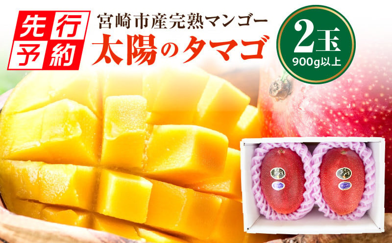 先行予約】2024年発送 宮崎市産完熟マンゴー「太陽のタマゴ」2玉 900g