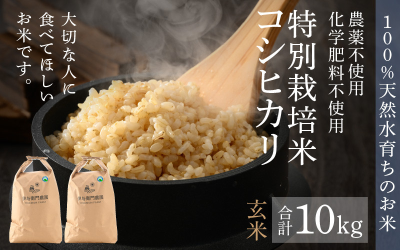 お客様の健康を考えた米づくり　玄米10kg　５年産コシヒカリ　特栽①農薬等不使用