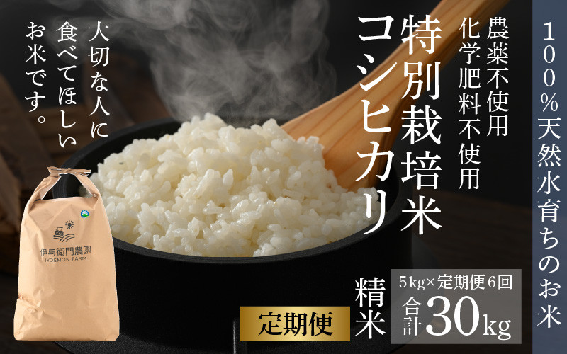 食味ランクS-　無農薬有機米コシヒカリ　白米（玄米15kg分）福井・令和5年新米