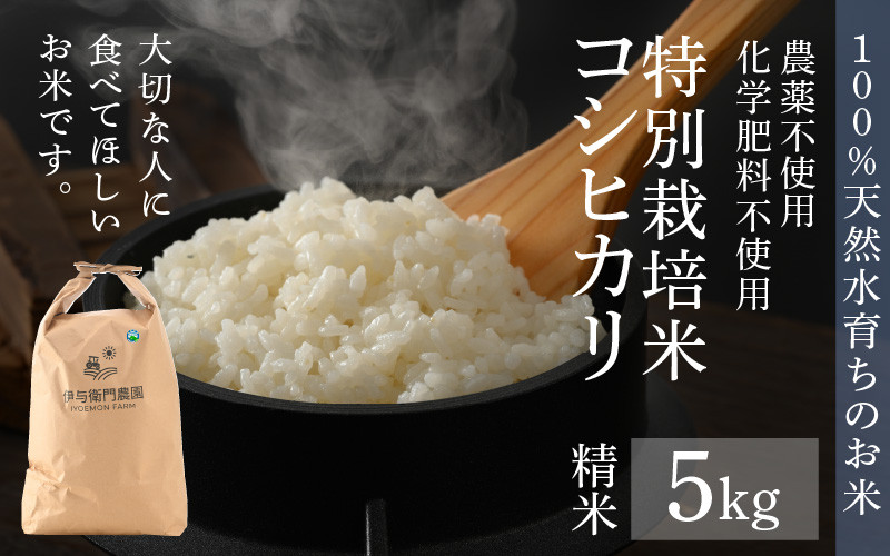 ☆新米☆[玄米]特別栽培米コシヒカリ５kg生産農家の直接販売 - 米