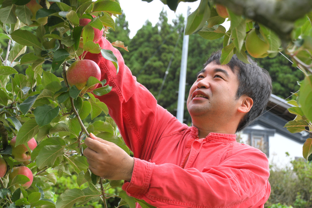 定期便】☆イチオシ☆ 旬のりんご食べ比べセット3kg×3回コース（贈答用