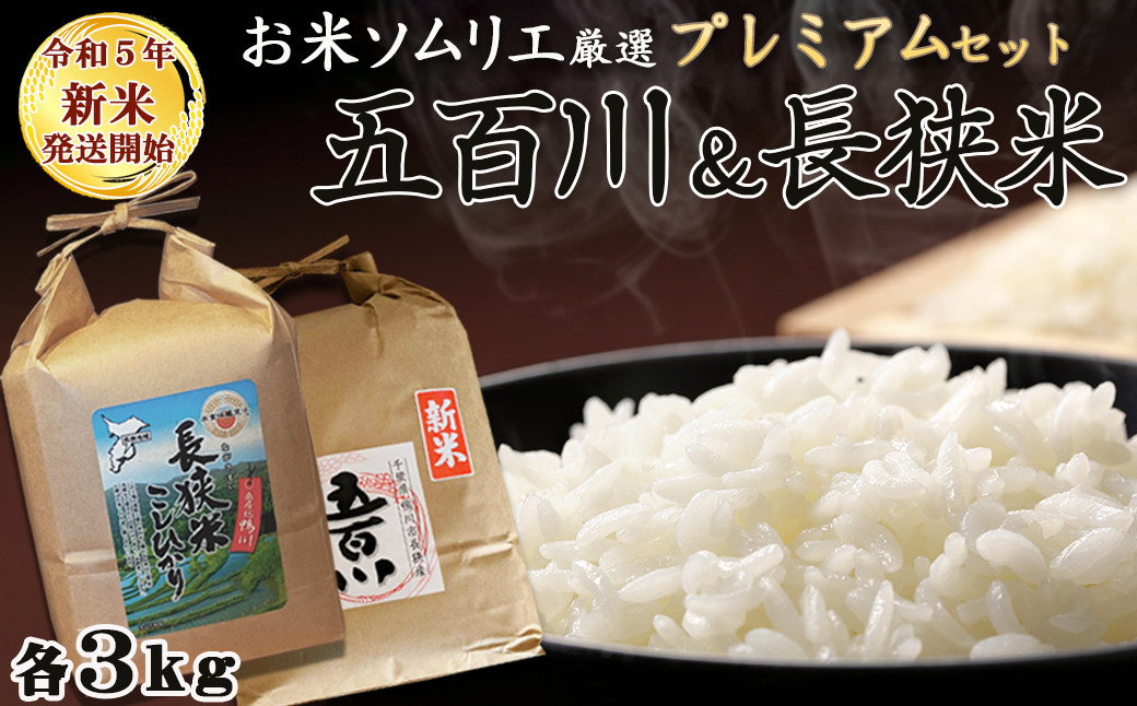 新米 新潟県 ５年産 コシヒカリ 白米 3ｋｇ(3ｋｇ×１袋) お米 米 - 米