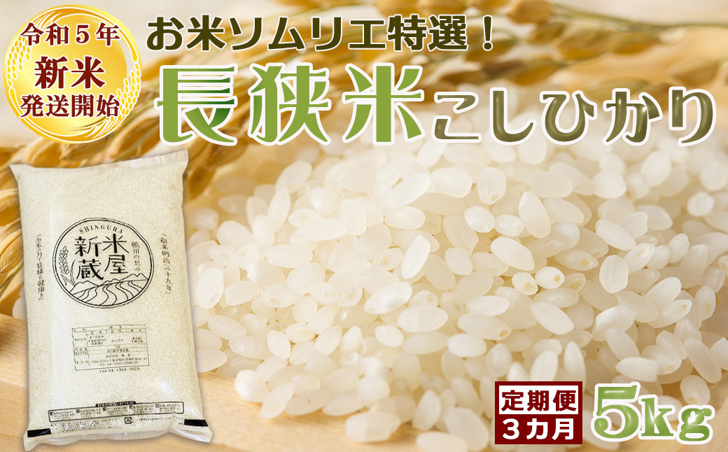 《令和５年新米》【米屋新蔵の定期便】お米ソムリエ特選『長狭米コシヒカリ』５kg×３回　[0030-0117]