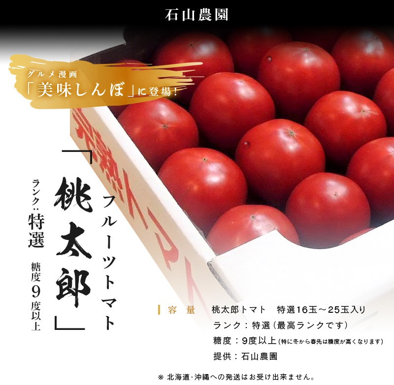 ふるさと納税 静岡県 掛川市 ５４６６ 美味しんぼに登場したトマト