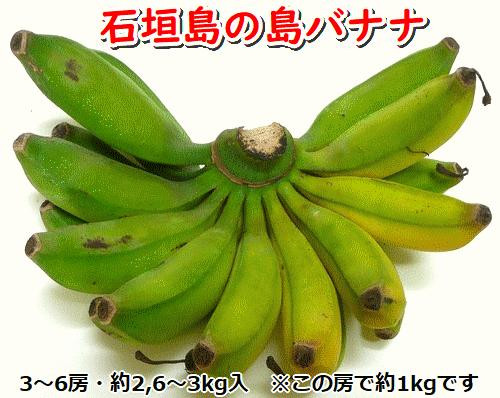 石垣島の島バナナ、3～6房（約2,6～3kg前後入り）爽やか酸味のスッキリ