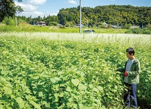 完全自家栽培 常陸圀えごま油（140g×2本） 【茨城県 常陸太田 常陸圀