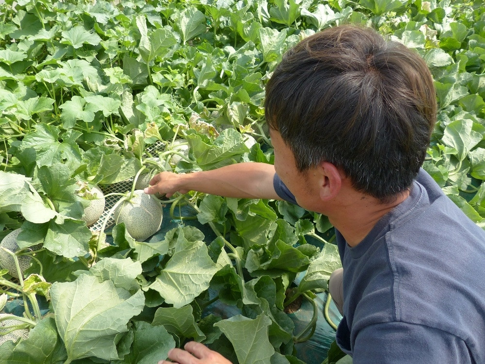 「美味しかったよ」の言葉がなにより嬉しい