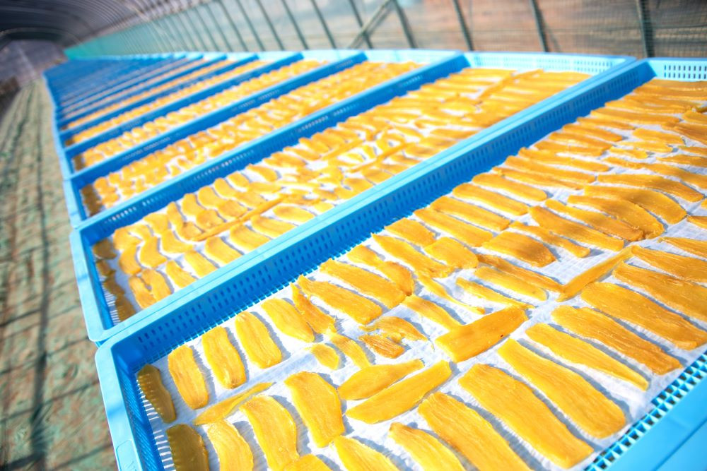 パレットは抗菌作用のあるプラスチック製に