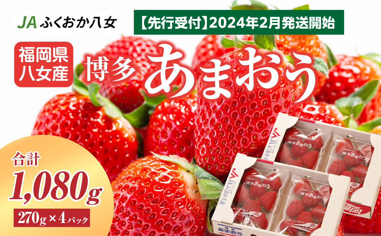 フルーツ　いちご　等級G　福岡県　果物　柳川市　苺　価格比較　約1,120g　あまおう　ふるさと納税　約280g×4