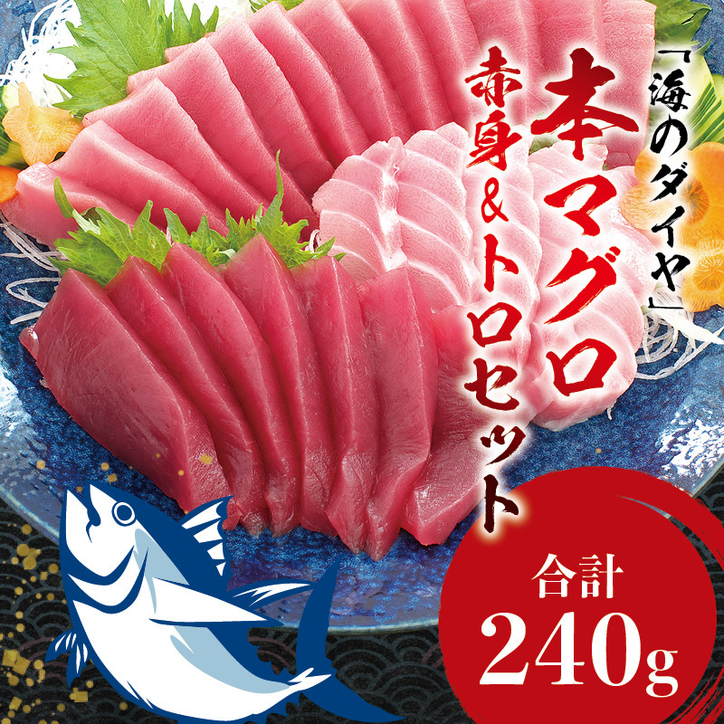 本マグロ（養殖）トロ＆赤身セット 240g 【12/25～29発送】高級 クロマグロ 中トロ 中とろ まぐろ マグロ 鮪 刺身 赤身 柵  じゃばらまぐろ 本マグロ 本鮪 - 和歌山県すさみ町｜ふるさとチョイス - ふるさと納税サイト