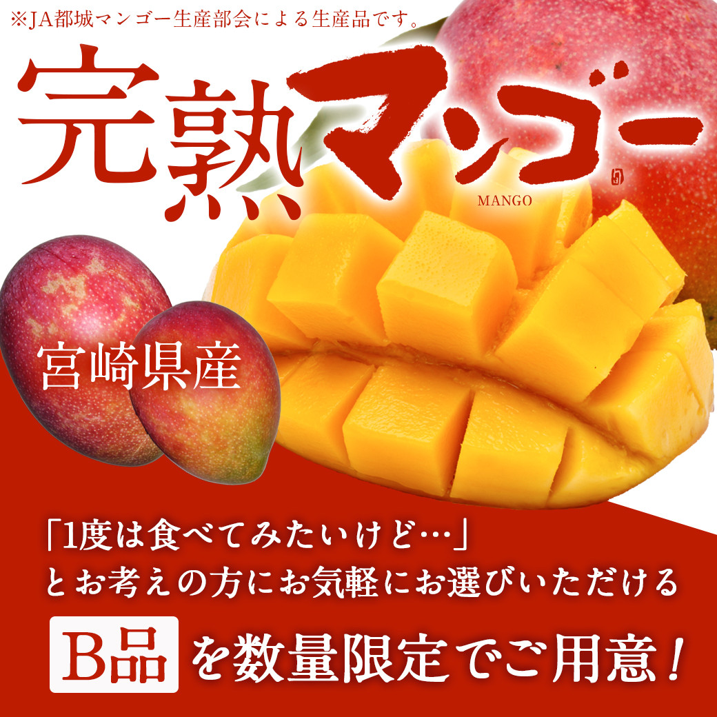 食品/飲料/酒宮崎県産 完熟マンゴー Mサイズ x 6玉 クール便 - フルーツ