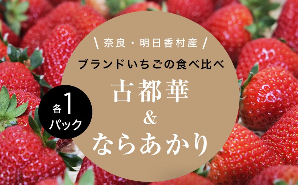 ふるさと納税 いちご（アスカルビー）約270g×2パック 奈良県大和郡山市