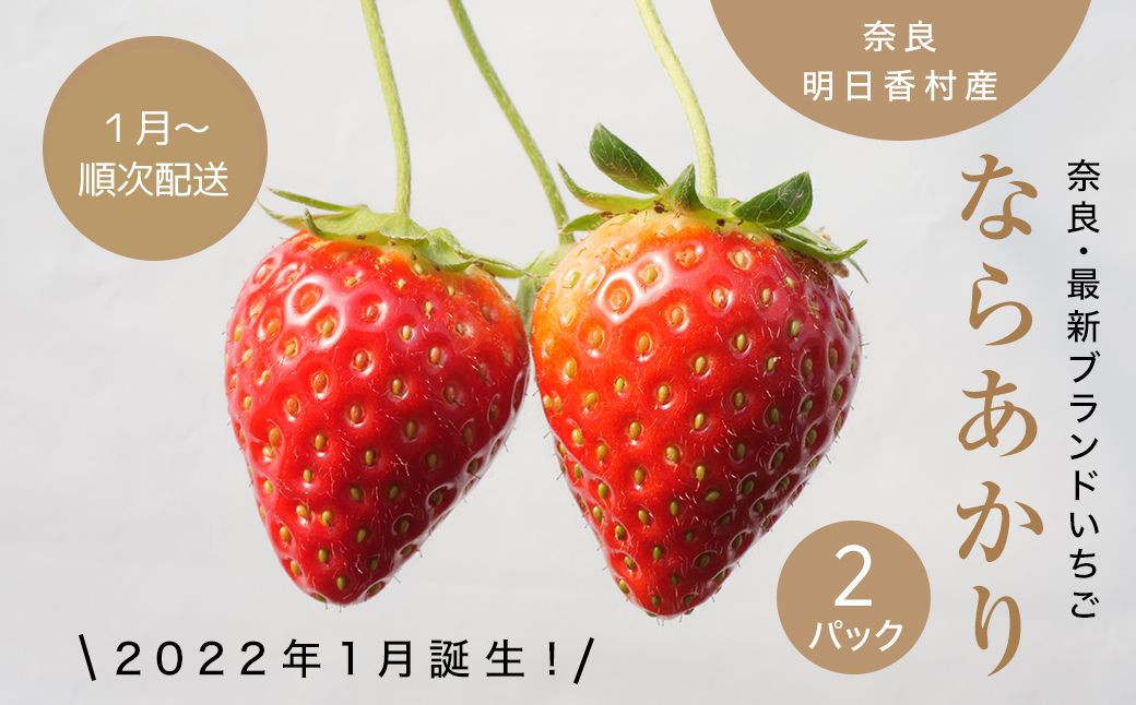 【1月〜3月下旬】明日香村産いちご「ならあかり」(270g×2パック) - 奈良県明日香村｜ふるさとチョイス - ふるさと納税サイト