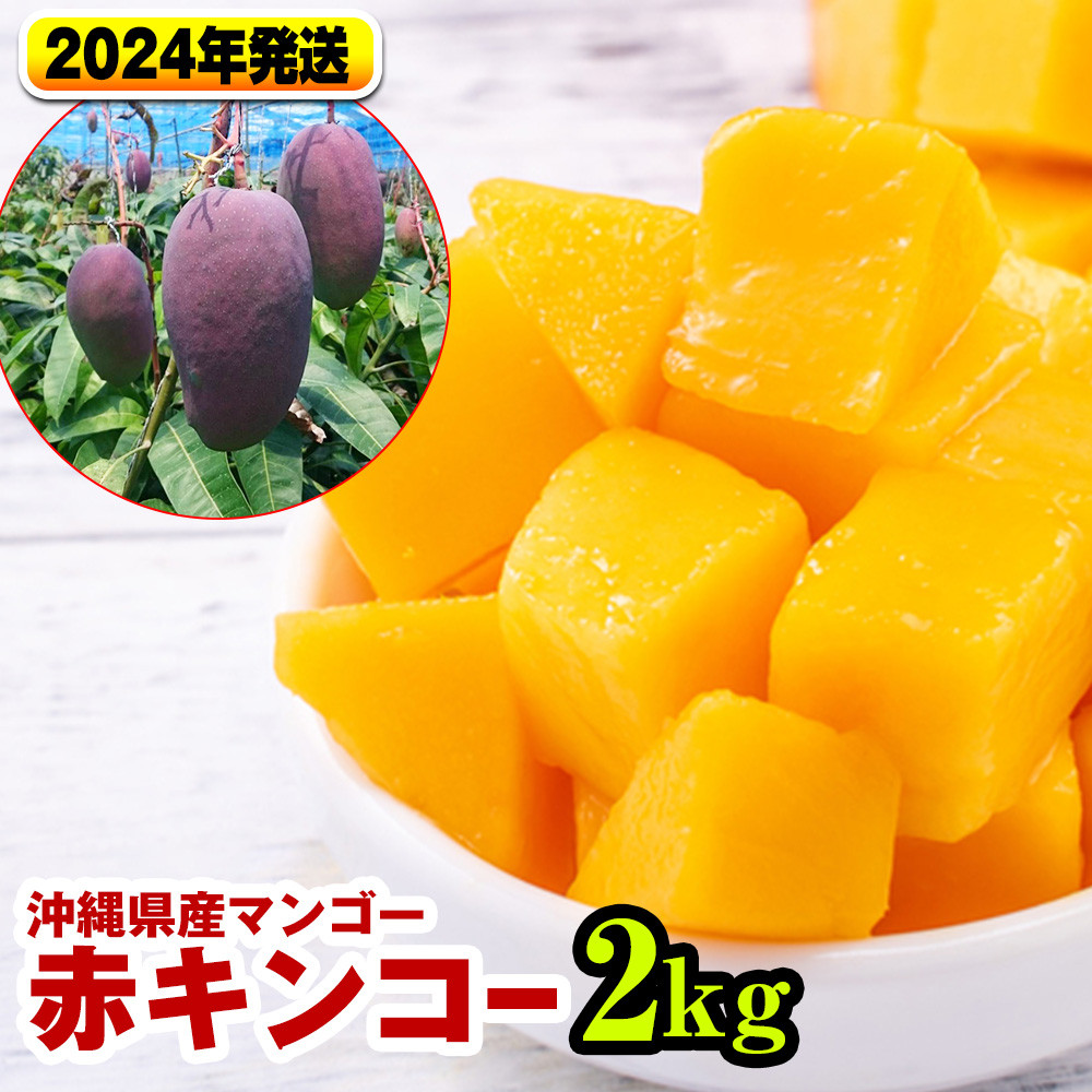 【2024年発送】南国の果物　沖縄県産マンゴー　赤キンコー　2kg