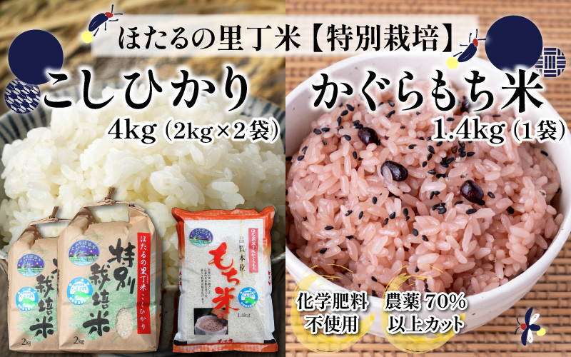 福井県産　新米餅米30kg  かぐらもち　減農薬　もち米30キロ