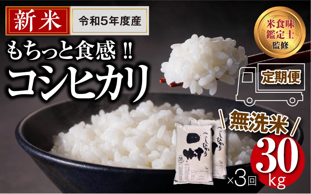 新米 令和5年産 】 【 無洗米 】 ＼定期便3回／ コシヒカリ 30kg 10kg