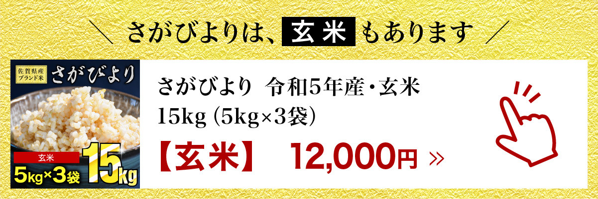 一時休止中※※ ≪10月以降価格改定≫ 《令和5年産》 さがびより 15kg