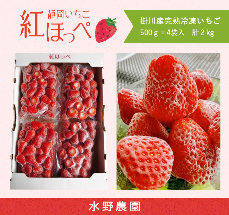掛川市・水野農園が育てた「紅ほっぺ」イチゴを冷凍にしました♪