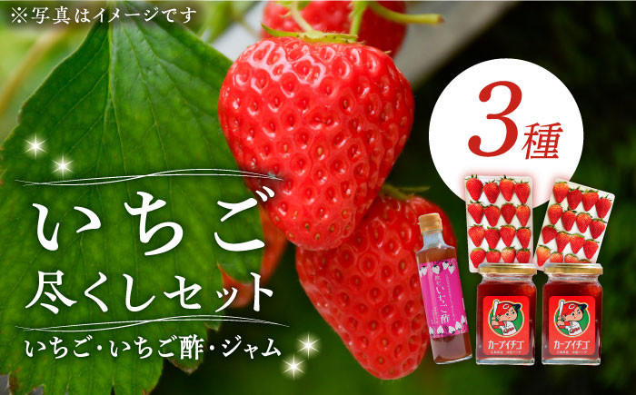 1月下旬から順次発送予定！】瀬戸内の島で育ったいちご尽くしセット 苺