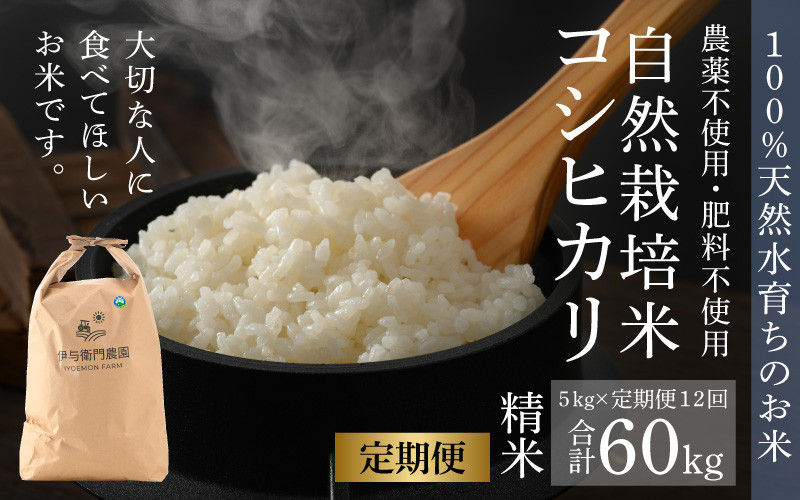 玄米 農薬不使用 5kg No.18 - 米