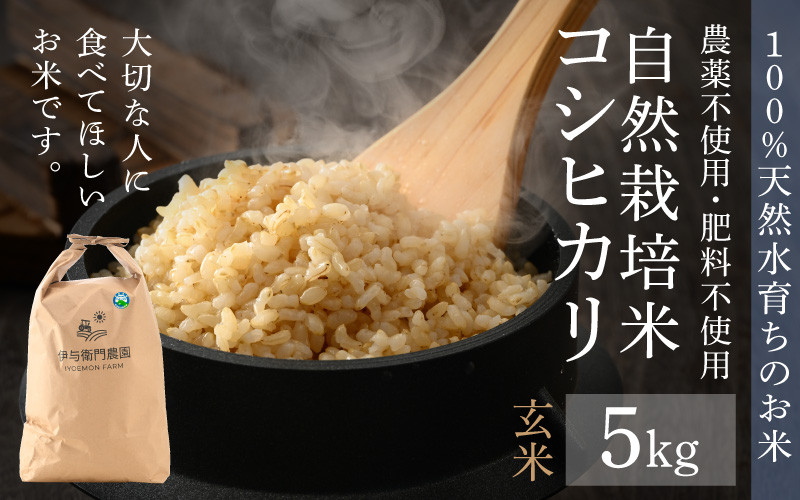 新米　コシヒカリ玄米　中米30㎏　送料無料！！数量限定！！玄米内容量