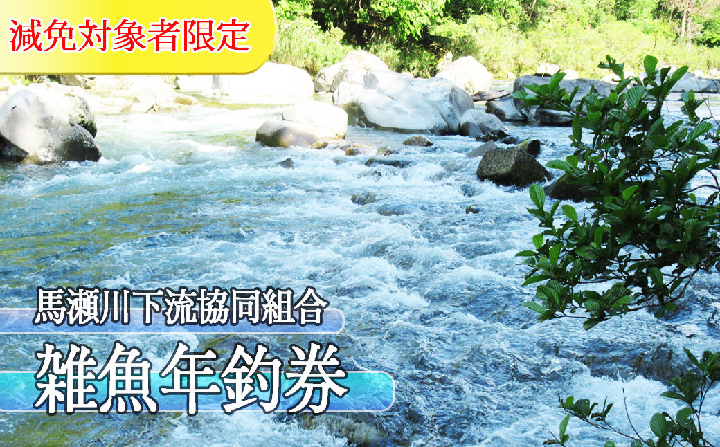 ふるさと納税 【令和5年】「馬瀬川下流」鮎友釣年釣券 1枚【解禁日：令和5年6月3日（土）】 あゆ 年券 アユ 年釣り【26-4】 岐阜県下呂市 -  サービスクーポン、引換券