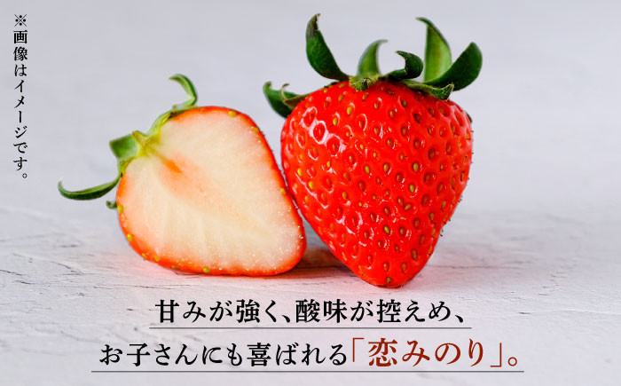 数量限定】【先行予約】【3回定期便】高級 いちご 恋みのり 約500g