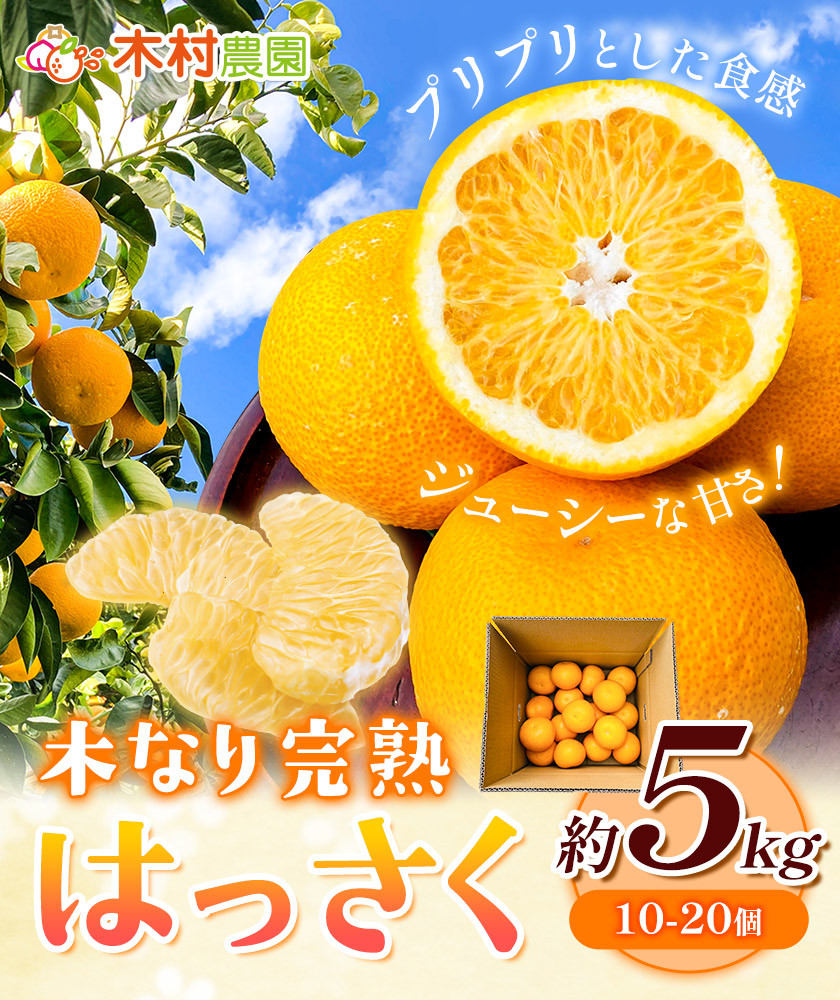 木なり完熟はっさく 約5kg (10-20個) 木村農園《2024年3月上旬‐4月上旬頃出荷》和歌山県 紀の川市 はっさく 八朔 果物 フルーツ