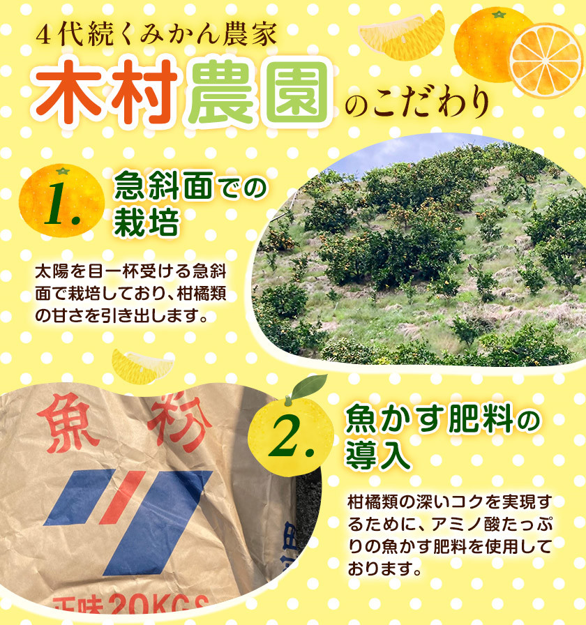 木なり完熟はっさく 約5kg (10-20個) 木村農園《2024年3月上旬‐4月上旬頃出荷》和歌山県 紀の川市 はっさく 八朔 果物 フルーツ