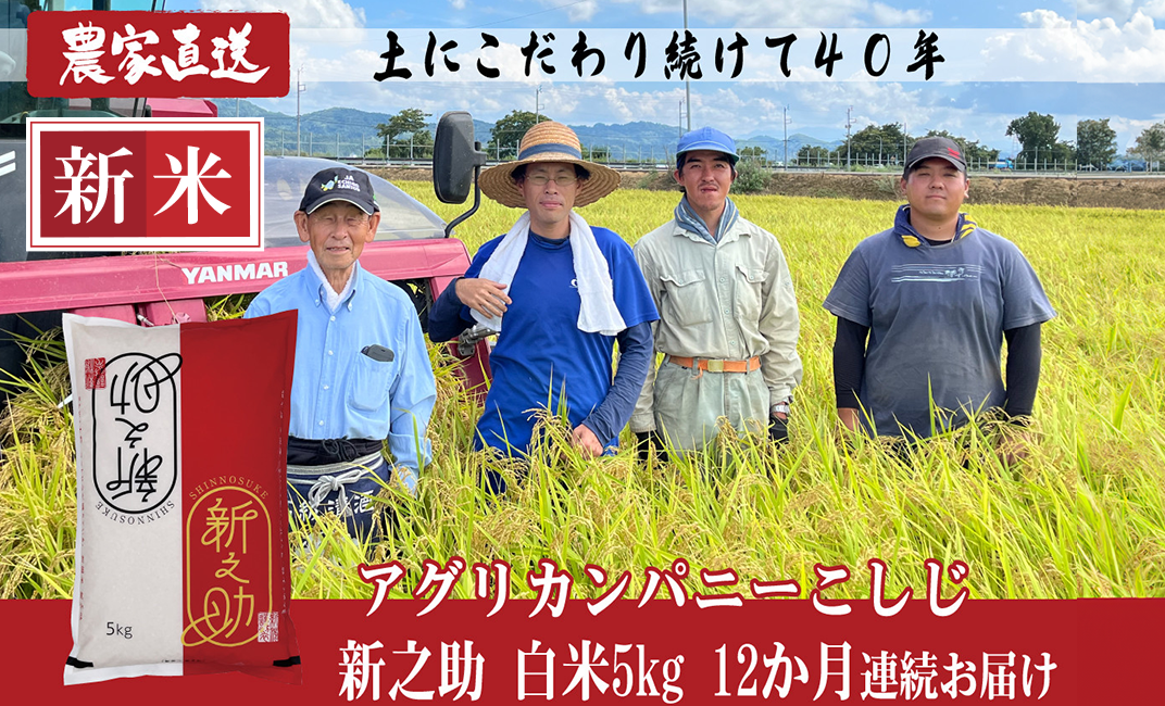 新米・令和5年産 新潟 新之助 白米5kg6個☆農家直送☆色彩選別済10