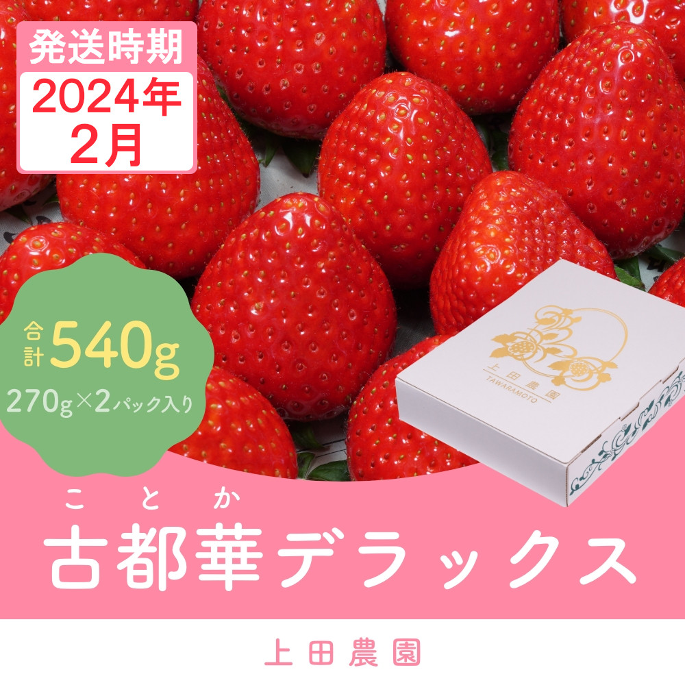 ふるさと納税 奈良県 五條市 奈良県産ブランド「古都華（ことか）」２