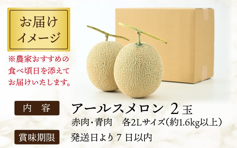 アールスメロン 食べ比べ2玉（約1.6kg以上×2玉）青肉、赤肉品種 高級メロン！ ／ マスクメロン 大玉 果物 フルーツ 夏 ギフト 農家直送 -  福井県あわら市｜ふるさとチョイス - ふるさと納税サイト