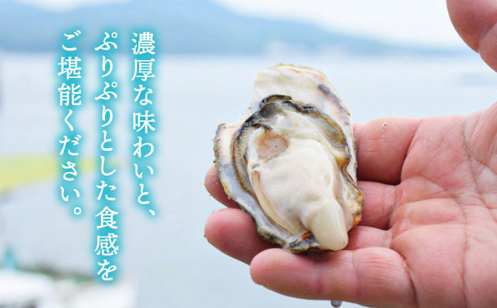 2月7日（水）着】特選 牡蠣三昧！【生牡蠣】広島牡蠣 むき身４kg 牡蠣