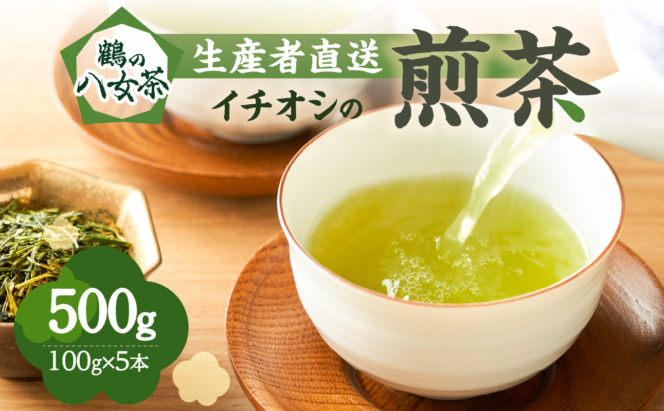 鶴の八女茶（イチオシの煎茶） ＜生産者直送＞ 100g×5本