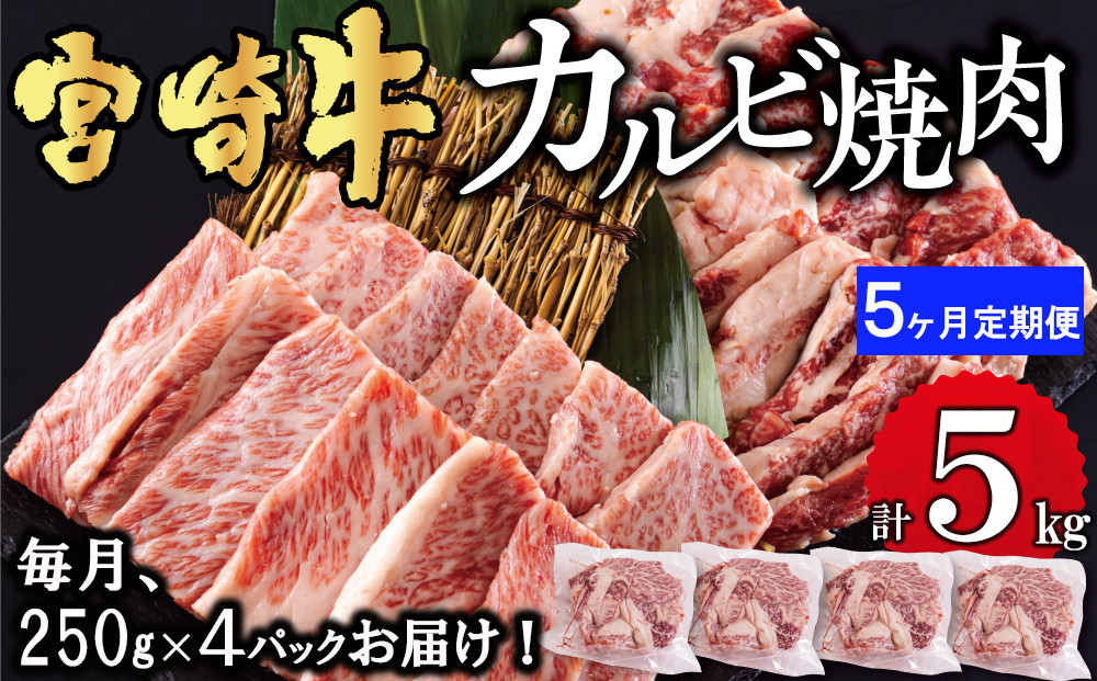 5ヶ月定期便】 宮崎牛 カルビ 焼肉 1kg (250g×4) ×5回 合計5kg 小分け